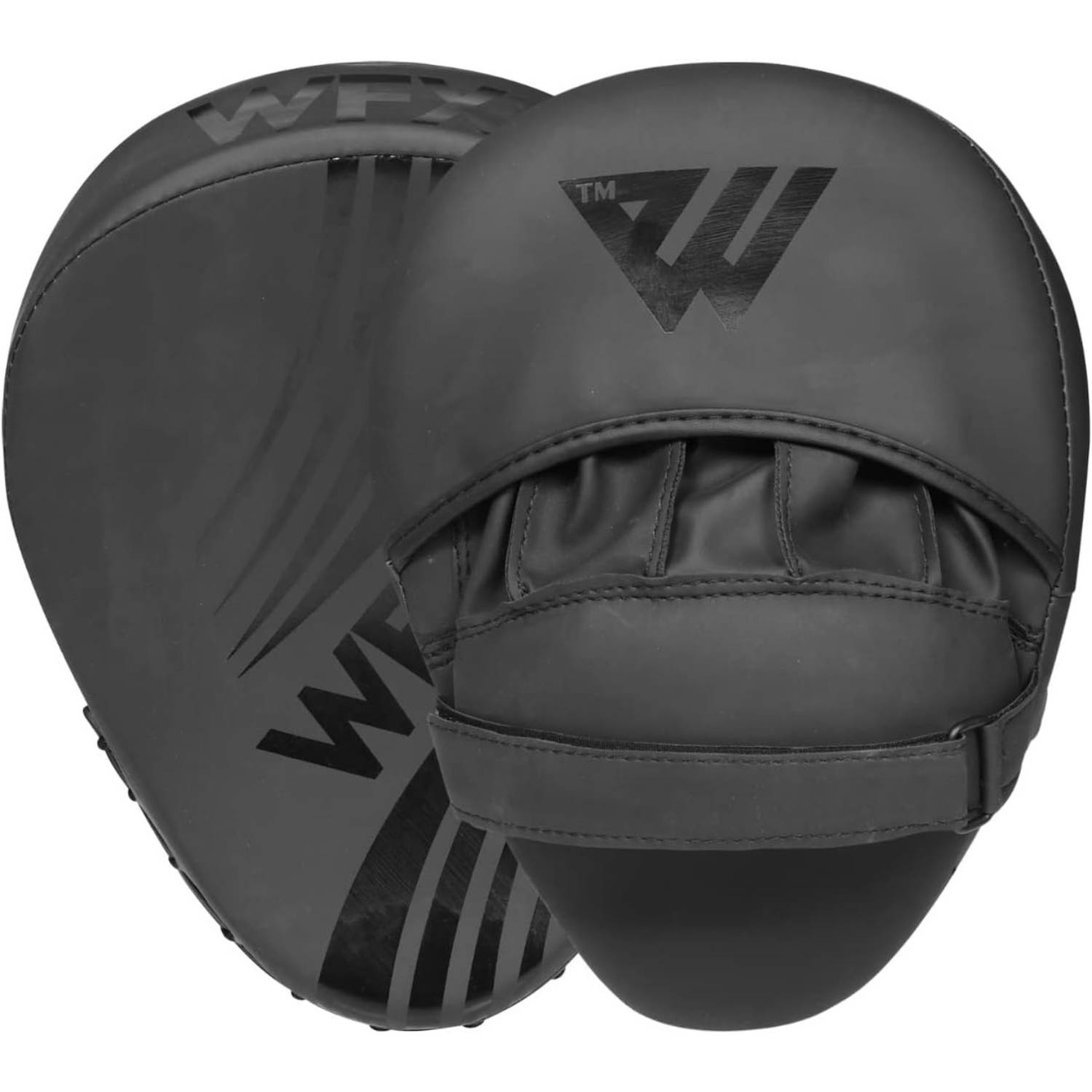 Boxing Focus Pads: image 2