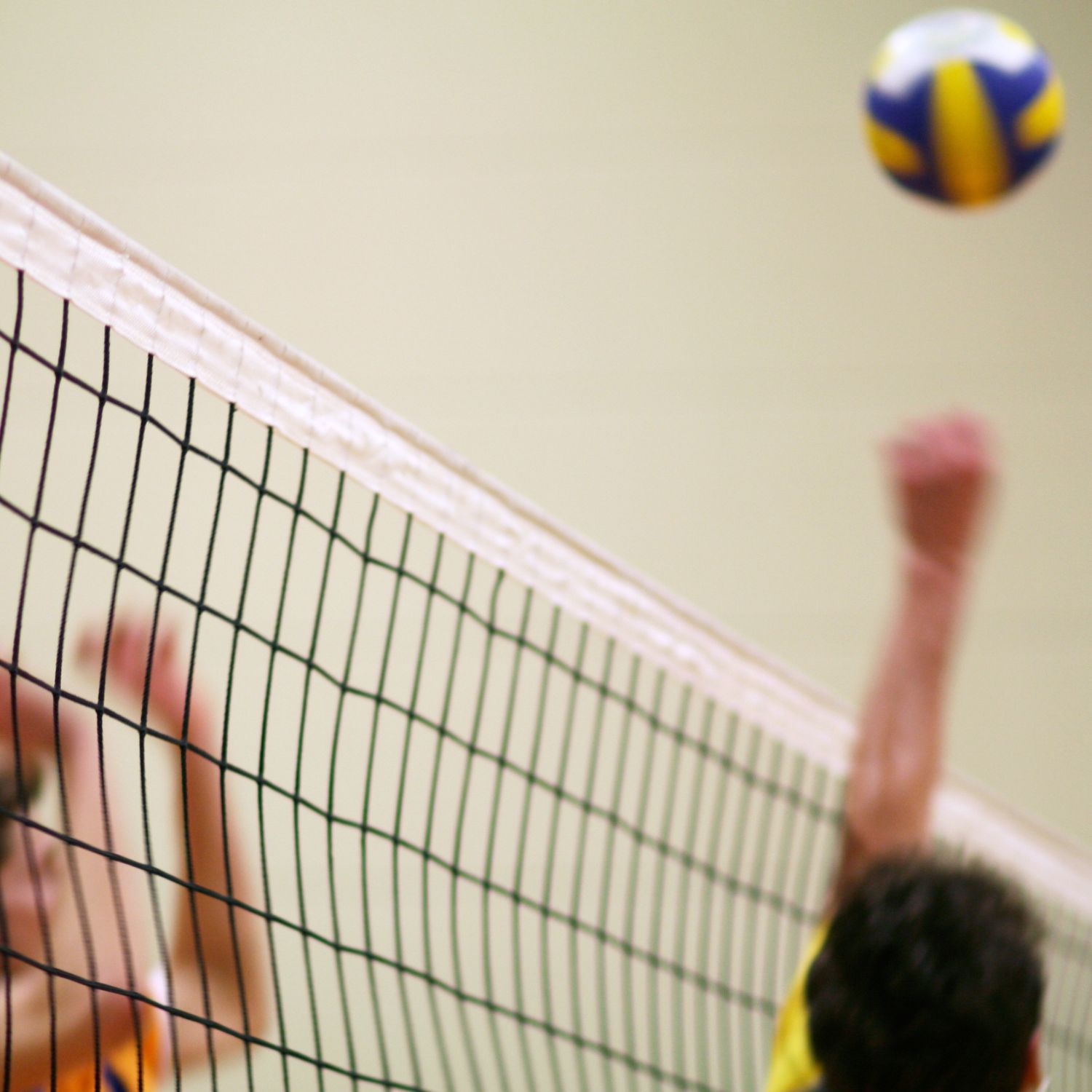 Volleyball Net